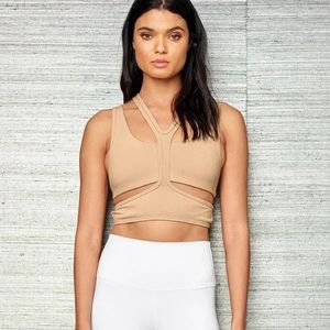 Alo Trackie sports bra